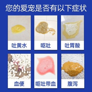 土霉素能给狗狗吃吗，（土霉素能给狗狗吃吗一天几次）