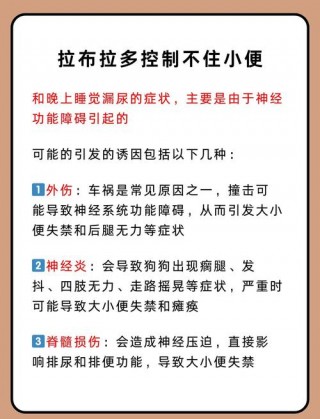 狗狗漏尿怎么治疗，（狗狗漏尿是什么意思）