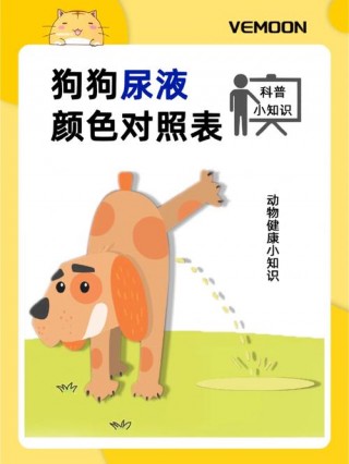 狗狗尿黄是什么原因？狗狗尿黄是什么原因怎么治疗（最新）