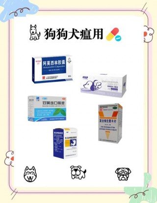 狗狗犬瘟热吃什么药，（狗狗犬瘟发烧用什么药退烧）
