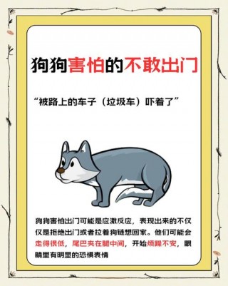 狗狗不敢出门怎么办，（狗狗不敢出门怎么办呢）