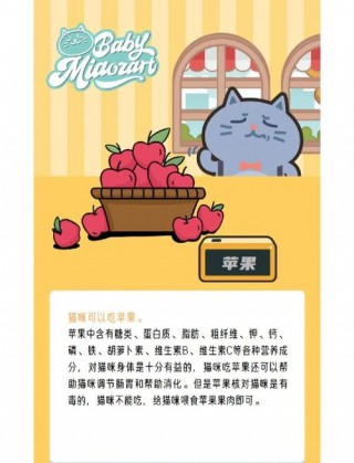 猫咪可以吃梨吗，猫咪可以吃梨吗泰迪？