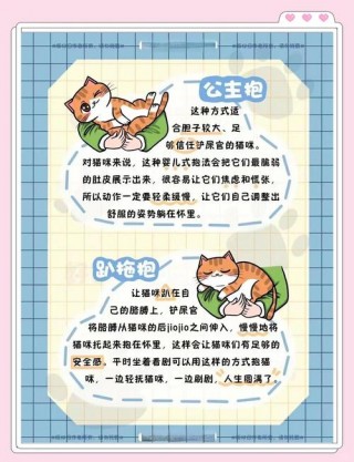 怎么陪猫咪玩耍？如何陪猫玩和猫互动（最新）