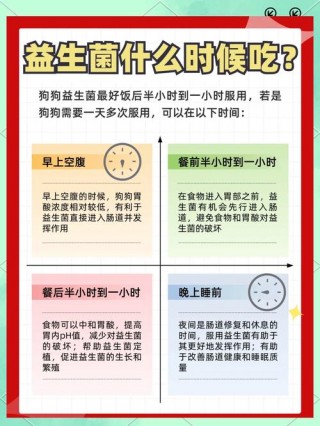 益生菌怎样给狗狗服用，益生菌小狗怎么吃？