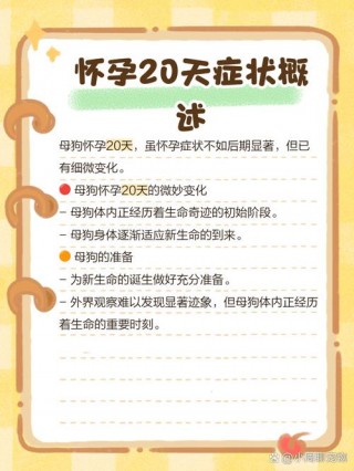狗狗怀孕有什么特征？狗狗怀孕有什么特征吗（最新）