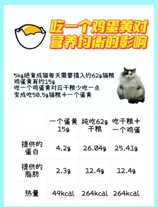 猫咪吃蛋黄有什么好处，猫吃蛋黄的坏处？