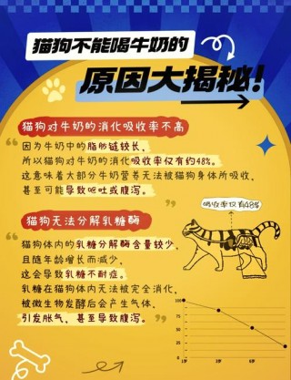 小猫咪可以喝牛奶吗，没羊奶粉用什么代替喂小猫？