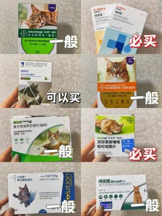 猫咪吃打虫药后的反应，猫猫吃打虫药注意事项？