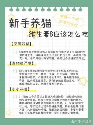 猫咪怎么补充维生素b？猫咪怎么补充维生素c（最新）