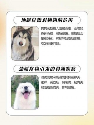 狗狗吃油腻了会怎么样？狗狗吃油怎么办（最新）