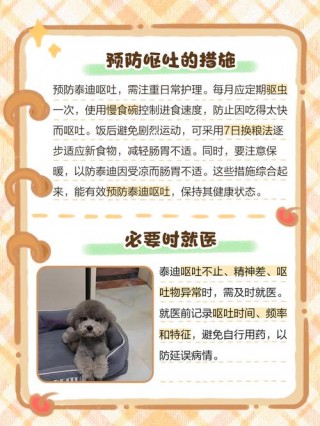 狗狗能喝稀饭吗，（小狗可以喝稀饭不）