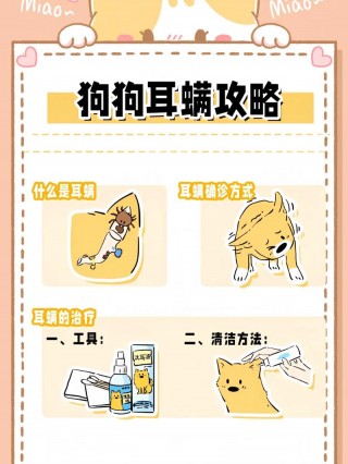 狗狗滴耳液使用教程，狗狗滴耳液怎么使用？