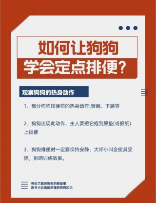 如何训练狗狗在外面拉屎，（怎么训练狗狗在外面大便）