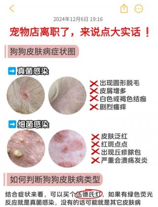 狗狗身上痒是怎么回事？狗狗身上痒是怎么回事?（最新）