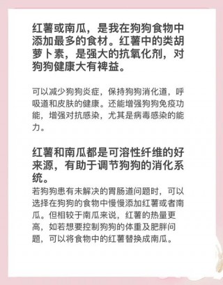 狗狗可以吃红薯么，狗是否可以吃红薯？