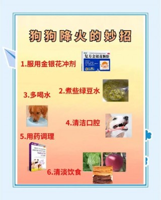 狗狗上火了怎么办？小猫上火了怎么办（最新）