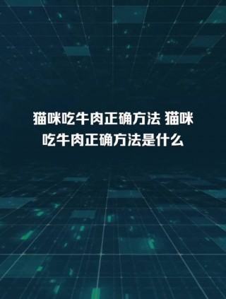 猫咪吃牛肉正确方法，猫咪吃牛肉好不好？