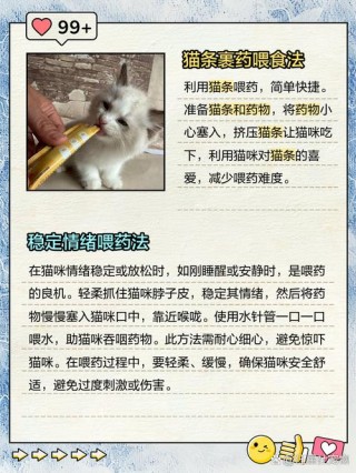 怎么喂猫咪吃药，怎么喂猫咪吃药片？
