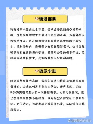 狗狗回家一直叫怎么办，小狗回家叫怎么办？