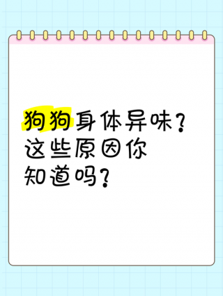 狗狗身上有味道是怎么回事，狗狗身上有味道是什么原因？
