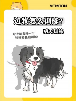 怎么训练狗狗不乱吃东西，如何训练狗不随便吃东西？