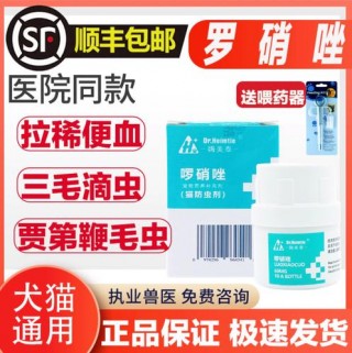 猫咪拉稀带血怎么办，（猫咪拉稀中带血）