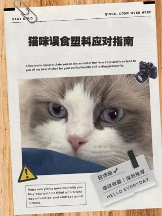 猫咪吃塑料袋了怎么办，（猫吃塑料袋没事吧）