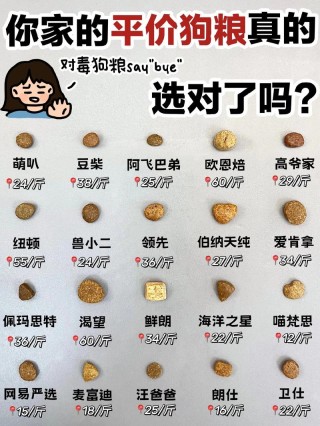 经常换狗粮对狗狗好吗，频繁换狗粮对幼犬好吗？