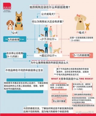 狗狗多大做绝育，（狗狗几个月绝育比较好）