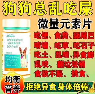 狗狗吃什么微量元素好？狗狗吃什么微量元素好呢（最新）
