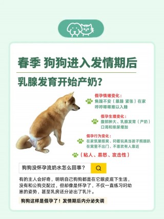 狗狗怀孕多久下奶，狗怀孕后多少天下奶？