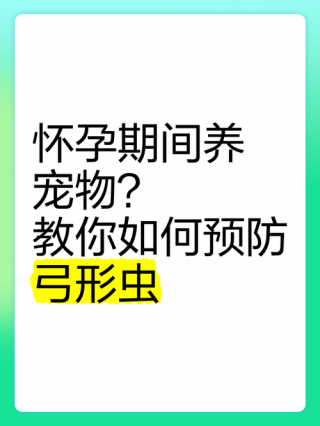 养狗狗怎么预防弓形虫，养狗狗怎么预防弓形虫感染？