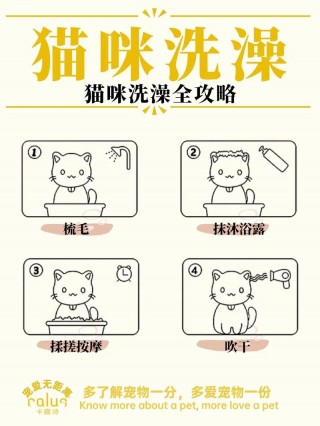 猫咪多久洗一次澡比较好，狗多久洗一次澡才是最合适？