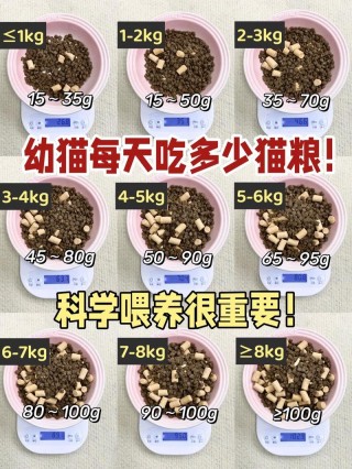 猫咪一天吃多少，（小鱼干猫咪一天吃多少）