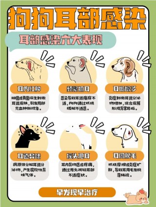 狗狗挠头是什么原因，（狗狗挠头是什么原因导致的）