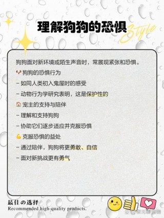 狗狗胆小怎么办，（狗狗胆小怎么训练最有效）