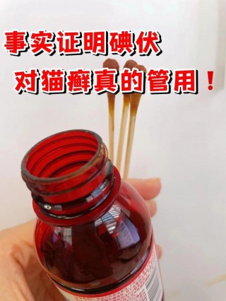 碘伏猫咪舔了会怎么样，碘伏猫咪舔了会怎么样图片？