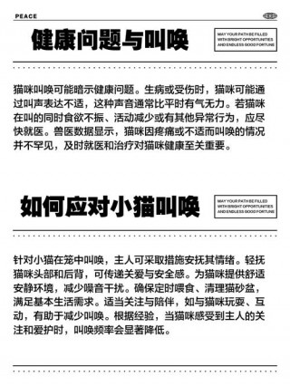 猫咪老是叫怎么办，（猫老是叫唤怎么办）