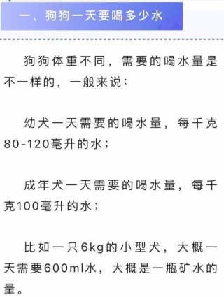 狗狗喝自来水可以吗？狗狗喝自来水可以吗怎么喝（最新）