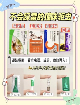 猫咪体内驱虫用什么药，猫除虫什么药比较好？
