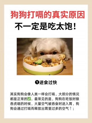 狗狗打嗝正常吗？狗狗打嗝是怎么回事啊（最新）