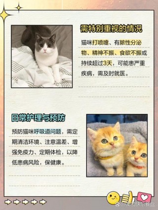 猫咪为什么打喷嚏？猫咪打喷嚏的原因（最新）