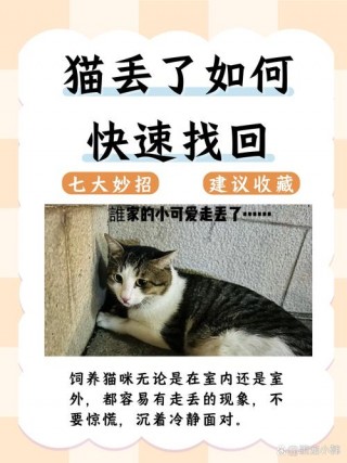 猫咪走丢了怎么找回来？猫猫走丢了（最新）