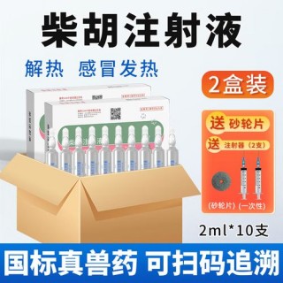 狗狗打退烧针多久见效，狗狗打退烧针有风险吗？