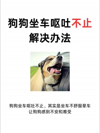 狗狗可以坐汽车吗，狗狗可以坐车么？