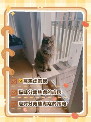猫咪焦虑的表现，猫咪焦虑的表现和症状？