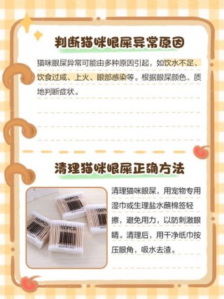 猫咪总是有眼屎怎么办，（猫咪总有眼屎正常吗）