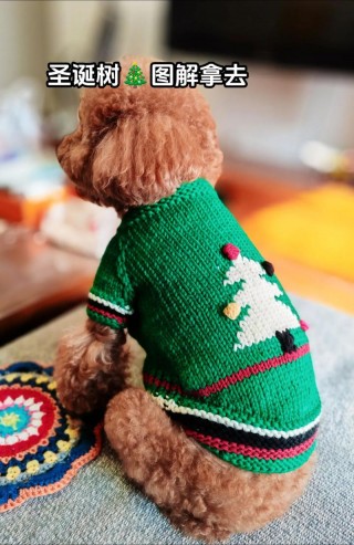 给狗狗织毛衣的全教程，给狗狗织毛衣简单视频全？