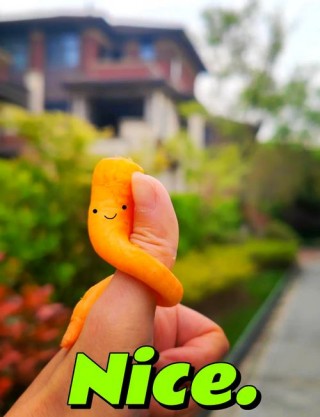 狗狗能吃生的胡萝卜吗？狗狗能吃生的胡萝卜吗吃多少合适（最新）