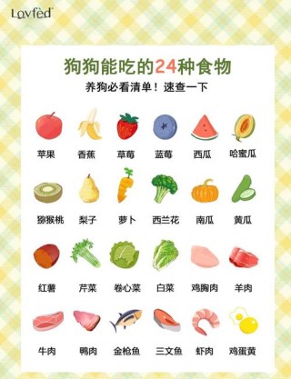 狗狗可以吃的蔬菜水果，狗狗可以吃的蔬菜水果有什么？